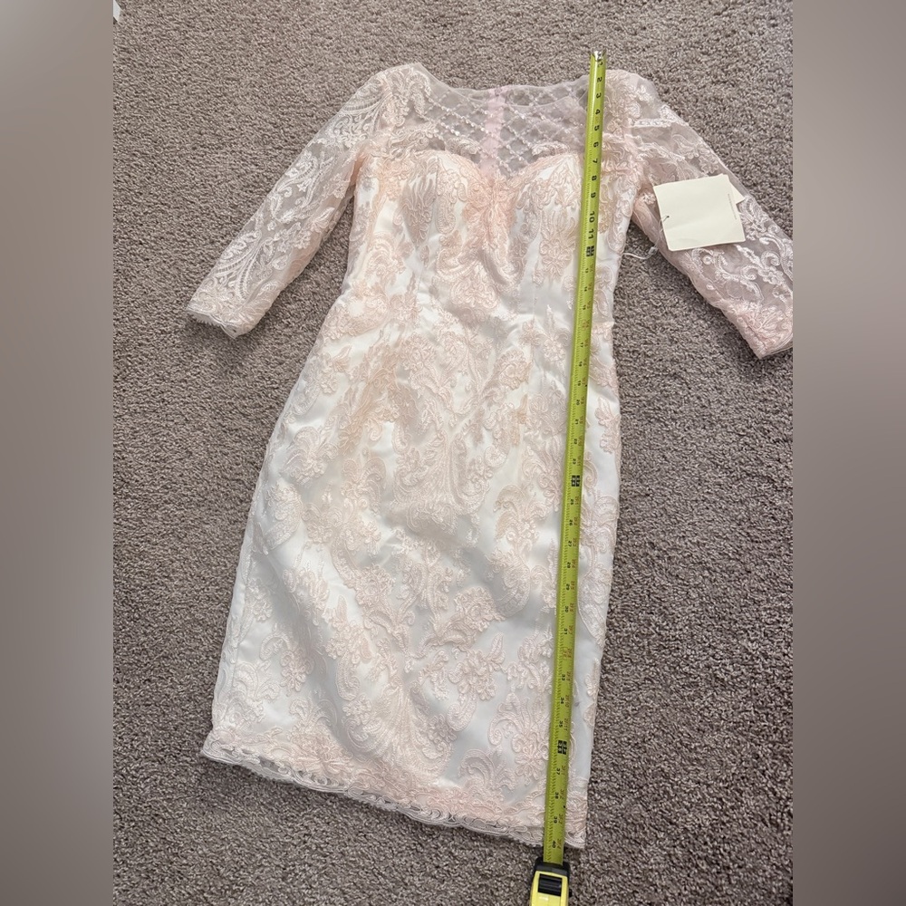 🩷LanTing Sz 6-8 Pink Dress Lace NWT🩷 Measurements Included! - Picture 12 of 17